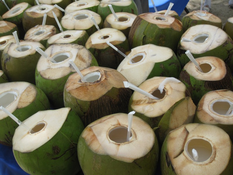 Coconuts and slow travel detail