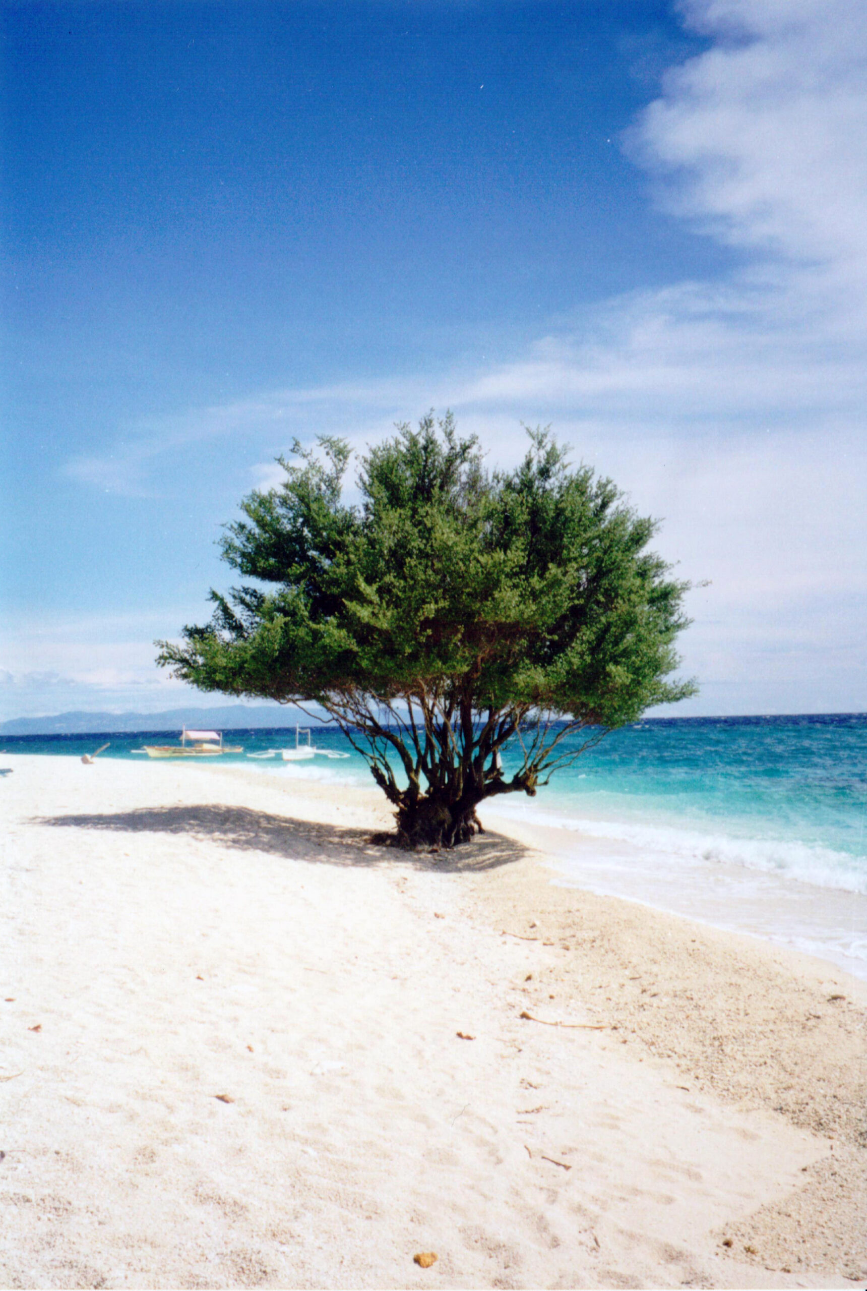 Sanda beach tree and slow living atmosphere